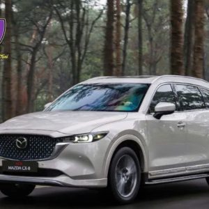 Hanoi To Yen Tu Private Car - Hoi An Private Car